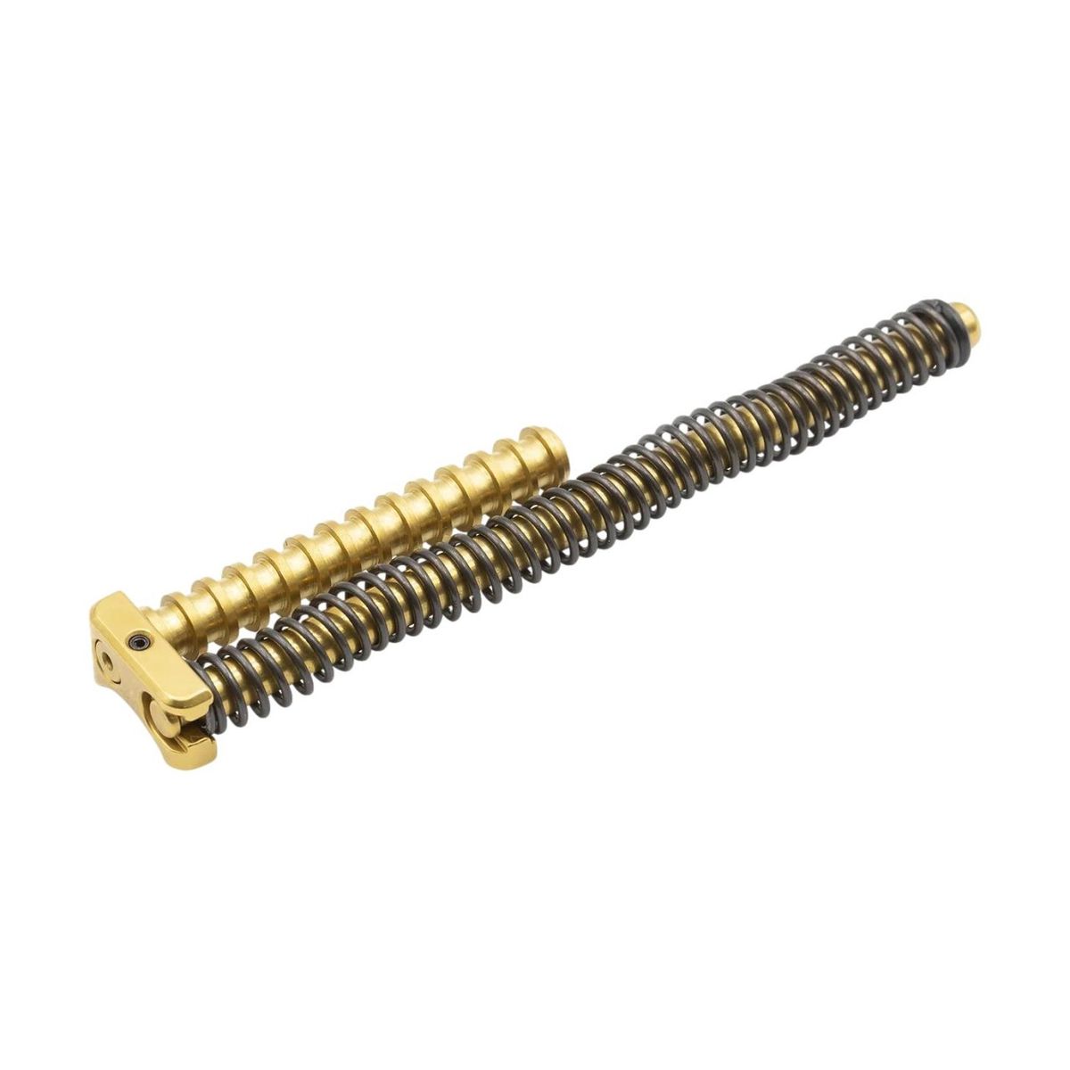 Recoil Assembly Remus