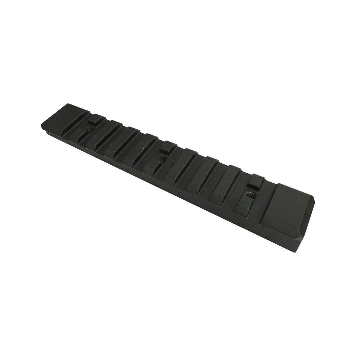 Picatinny Rail SG55X | zu Handschutz unten