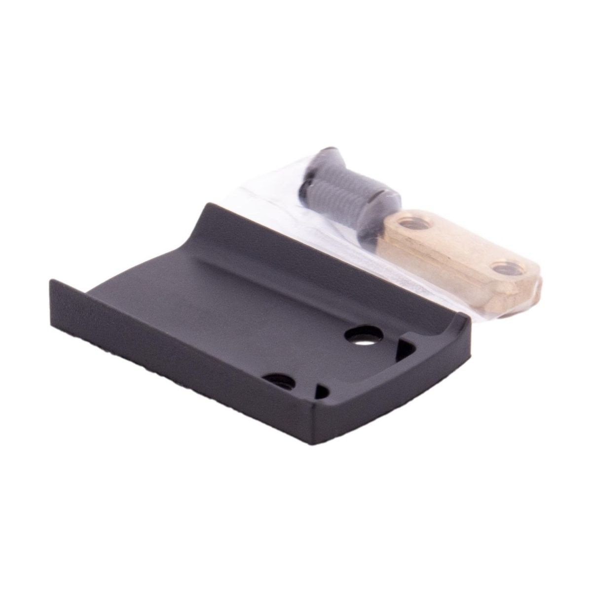 Low Profile Slide Mount RMS/SMS | CZ P-10